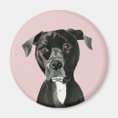 Suche nach pitbull magnete Haustiere