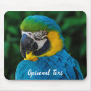 Suche nach bunter papagei mousepads Natur