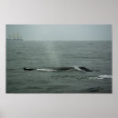 Suche nach per poster Im freien