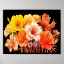 Suche nach orange blüte poster Liebe