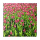 Suche nach rosa tulpen fliesen Grün