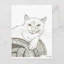 Suche nach ragdoll cat poster Tier