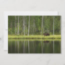 Suche nach finland karten Wald