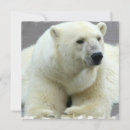 Suche nach eisbären einladungen Tier
