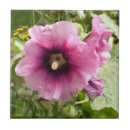 Suche nach rosa blumen fliesen Gärten