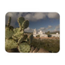 Suche nach tucson magnete Kaktus