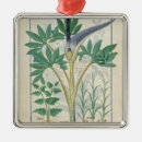 Suche nach heilend ornamente Belichtet