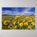 Suche nach montana poster Berg