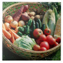 Suche nach behälter fliesen Frische