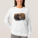 Suche nach ursus Alaska
