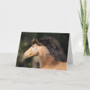 Suche nach lusitano karten Pferde