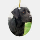 Suche nach schwarzer labrador ornamente Schwarzes labrador retriever