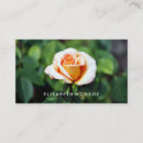Suche nach orange ros visitenkarten Blume