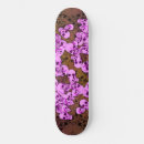 Suche nach punks skaten Skater