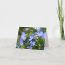 Suche nach schmetterlings karten Blau
