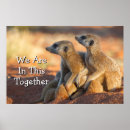 Suche nach fell poster Tier