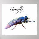 Suche nach entomologe poster Bug