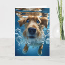 Suche nach großes auge karten Große blaue augen