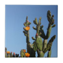 Suche nach birne fliesen Blau