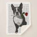 Suche nach boston terrier decken Steampunk