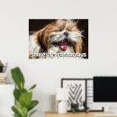 Suche nach gähnen poster Hund