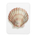 Suche nach sammlungen magnete Ozean