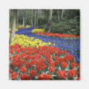 Suche nach keukenhof magnete Holland