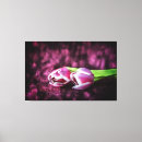 Suche nach lila tulpen leinwandbilder Rosa