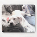 Suche nach weißer hund mousepads Für ihn