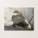 Suche nach alligator puzzle Florida