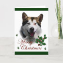 Suche nach alaskischer malamute postkarten Weihnachten