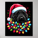 Suche nach labradoodles poster Gekritzel