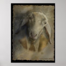 Suche nach realismus poster Tier