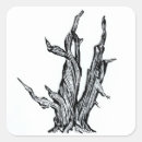 Suche nach kiefer aufkleber Baum