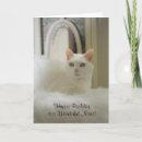 Suche nach katzenbilder karten Kitty