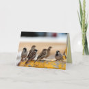 Suche nach männlich weiblich karten Natur