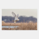 Suche nach schneeeule aufkleber Vogelvogel
