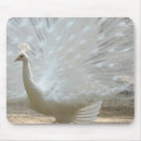 Suche nach herrlich mousepads Schön