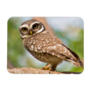 Suche nach eule magnete Porträt