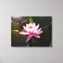 Suche nach wasserlilien leinwandbilder Rosa