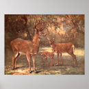 Suche nach deer poster Gegner