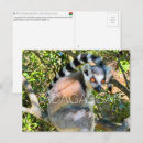 Suche nach madagaskar postkarten Reise