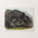 Suche nach braunbär puzzle Grizzlybär
