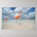 Suche nach aruba poster Beach