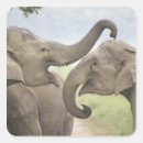 Suche nach indischer elefant aufkleber Indien