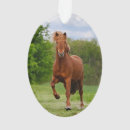 Suche nach isländisch ornamente Pferd