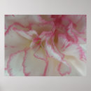 Suche nach rosa und weiß poster Hübsch