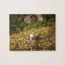 Suche nach jack russell terrier puzzle Tier