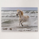 Suche nach pferd puzzle Strand