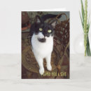 Suche nach willkommenes zuhause karten Katze
